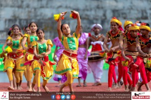 12038970_10154299766054251_5955842720194486022_o